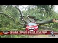 Possible tornado knocks down trees in north Harris County