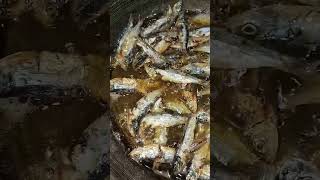 dried fish frying | pritong buwad