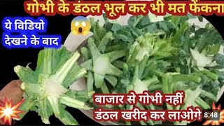 बाज़ार से ख़रीद कर लाओगे गोभी के  danthal #monysavingtips #hometipsandtricks