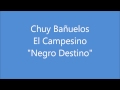 Negro Destino