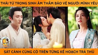 Thái Tử Trọng Sinh Âm Thầm Bảo Vệ Người Mình Yêu, Sát Cánh Cùng Cô Trên Từng Kế Hoạch Trả Thù