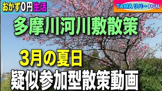 【おかず0円生活】3月夏日に多摩川河川敷散策【擬似参加型河川敷散策動画】