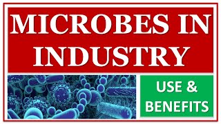 MICROBES IN INDUSTRY | USE & BENEFITS OF MICROORGANISMS | FOOD | PHARMACEUTICAL | BEVERAGES |