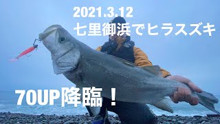 【ヒラスズキ】2021.3.12七里御浜ショアジギング【70UP】