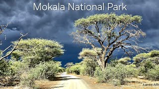 Mokala National Park