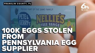 100K eggs stolen from Pennsylvania egg supplier; police investigating