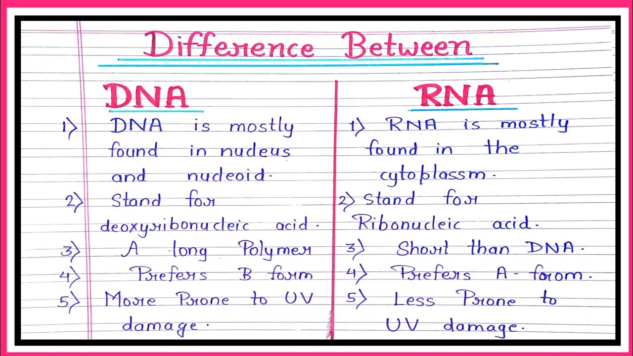 Differences Between Dna And Rna