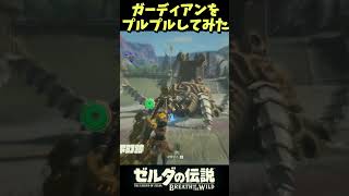 【検証】ガーディアンをめっちゃプルプルさせてみた【ゼルダの伝説ブレスオブザワイルド】【Botw】#ゼルダの伝説ブレスオブザワイルド #ブレワイ