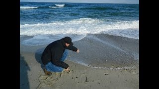 Strangers spread man's ashes around the world