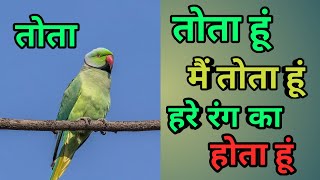 Tota hu main tota hu | Main Tota Main Tota | Hindi Rhymes for children | Kids learning