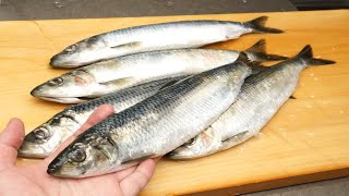 ニシンの刺身のさばき方と骨切り