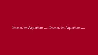 M.A.X. Egonom - Immer im Aquarium