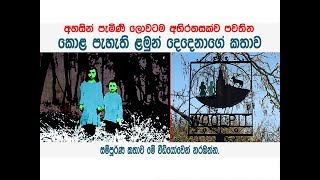 පිට සක්වලින් ආ කොළපාට ළමයි - Green Children came from unknown