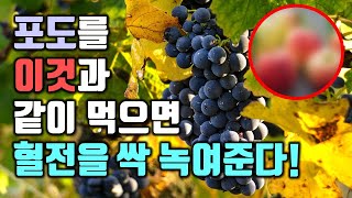 포도를 이것과 같이 먹으면 혈전을 녹여준다!(치매예방, 항암효과 등 포도의 효능 포함)