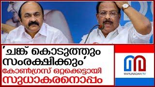 സുധാകരന്‍ നേതൃസ്ഥാനത്തുനിന്ന് മാറുന്ന പ്രശ്‌നമുദിക്കുന്നില്ലെന്ന് സതീശന്‍ | vd satheesan