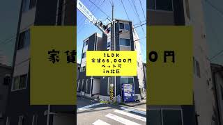 【ショート動画】志賀本通駅徒歩6分1LDK #Shorts