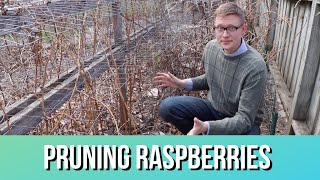 Raspberry Pruning 101: How To, When, & Why