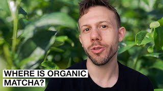 Why is Organic Matcha so Hard to Find? (Organic Matcha Part 1)