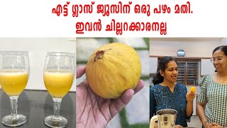 എട്ട് ഗ്ലാസ് ജ്യൂസിന് ഒരു പഴം. ഇങ്ങനൊരു പഴം നിങ്ങൾ കണ്ടിട്ടുണ്ടാവില്ല.. #kuttyvlog #kuttivlog04