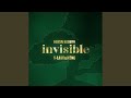 invisible