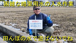 市街地の暗渠用水に大苦戦・イタズラ小僧達との最前線・2020