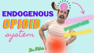 Endogenous Opioid System