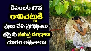 Importance of Ravi Chettu | Benefits and Miracles of Peepal Tree | Bhakti | devotional telugu