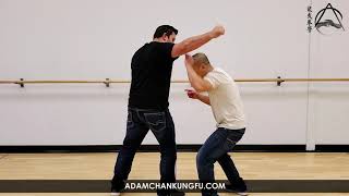 Wing Chun Training Tip: Improve your Tan Sau ! - Adam Chan Kung Fu Report
