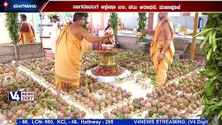 ಶ್ರೀ ಕೊಡಮಣಿತ್ತಾಯ ಕ್ಷೇತ್ರ - ಶಿಬರೂರು || ಬ್ರಹ್ಮಕುಂಭಾಭಿಷೇಕ ಹಾಗೂ ಅಷ್ಟಪವಿತ್ರ ನಾಗ ಮಂಡಲ ಸೇವೆ