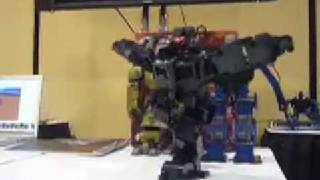 CES Robots 2009