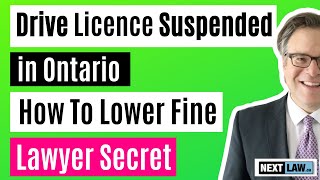 Driving With a Suspended Licence in Ontario - How to Lower Your Fine (Lawyers' Secret)