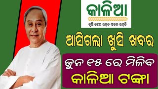 କାଳିଆ ଯୋଜନାରେ ଆସିଲା ବଡ଼ ଖୁସି ଖବର ମିଳିବ ଟଙ୍କା || Kalia Yojana Update || @otvodisha ||