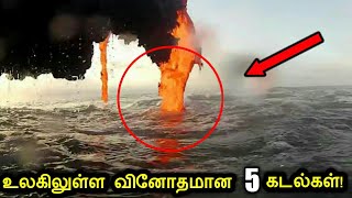 உலகில் உள்ள விசித்திரமான 5 கடற்கரைகள்! | Most unusual beaches in the world