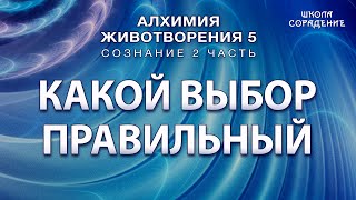 Какой выбор правильный? #Гарат #АЖ5  #Сознание #ЖивыеСеминары #школаСорадение