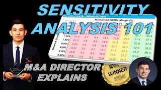 Sensitivity Analysis in Financial Modelling (Data Tables & Goal Seek) | M&A Director Explains