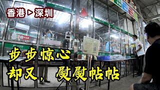 深圳湾口岸通关流程严丝合缝、防疫工作井井有条、规程有温度更不乏威严。“威权政府”又不是贬义词。《2019新冠疫情枷锁下的舞蹈》4