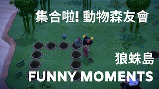 【集合啦! 動物森友會】狼蛛島 Funny moments