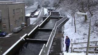 Fish Ladder Pitlochry