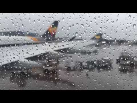 Thomas Cook A330 Economy Class Manchester to Orlando (Full Flight Thomas Cook A330 Economy Class Manchester to Orlando (Full Flight