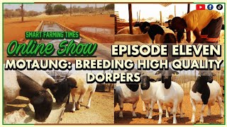 Smart Farming Times Online Show Episode 11: Motaung-Breeding High Quality Dorpers