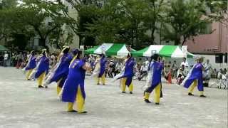 2012 深川よさこい祭り１２  北桜連