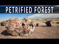 Backpacking the Petrified Forest National Park & the Painted Desert