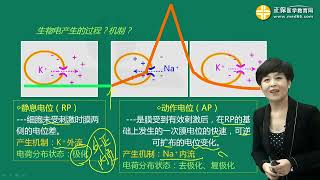 0202第02讲 细胞的兴奋性和生物电现象