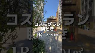 【コスモグラン勝どき】ルームツアー動画配信。人気の勝どき駅徒歩3分の1K、ワンルーム！