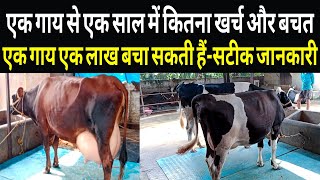 एक गाय से एक साल में एक लाख कैसे बचाएं🤔/tdm dairy farm mokama/dairy farm bihar/dairy farming ||