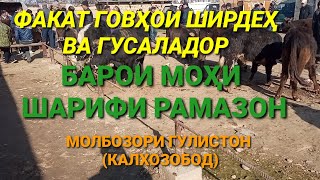 ГОВҲОИ ШИРДЕҲ ВА ГУСАЛАДОР БАРОИ МОҲИ ШАРИФИ РАМАЗОН #МОЛБОЗОРИ ГУЛИСТОН (КАЛХОЗОБОД) #мол #молбозор