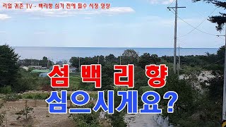 백리향 심기 전 필수 시청 영상