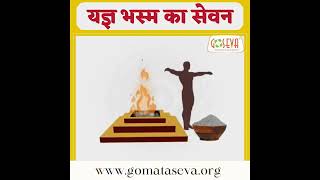 Natural Water Purifier - Vedic Technic #bhasm #goseva #yagya