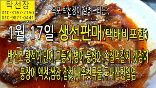 1월 17일, 반건조 황석어, 손질 먹갈치, 마른 생선, 액젓, 소금, 냉동 생선, 이것 저것, 맛있게(탁선장 목포 남도농수산 010 3167 7150. 010 9871 0441)