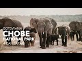 Botswana Chobe National Park: The Land of a Million Elephants (photography vlog)